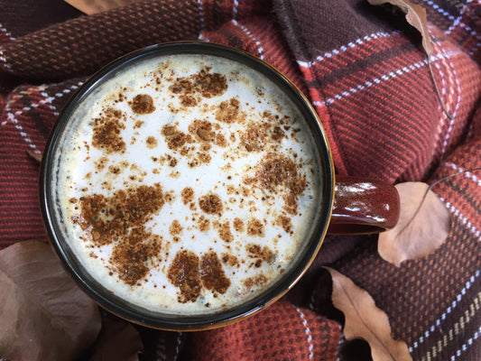 Terra Powders Golden Cocoa Pumpkin Spice Latte