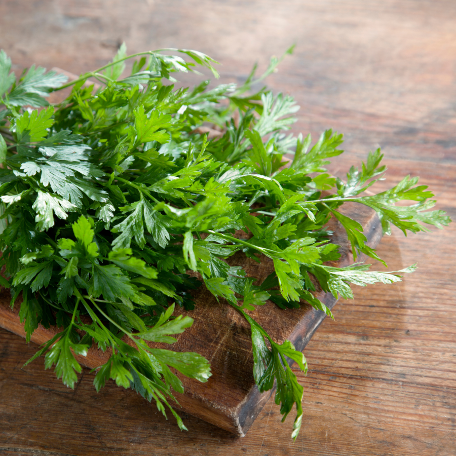 Fresh Picked Herbs Organic Parsley