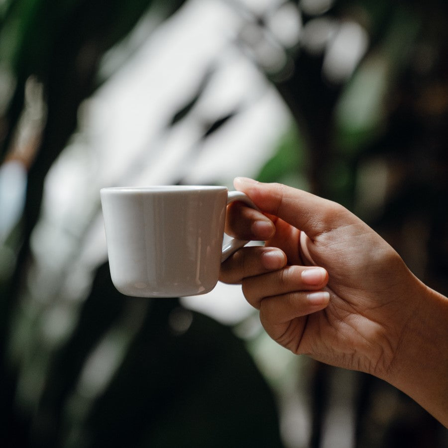 A small cup filled with hot Jasmine Green tea full of organic aroma and flavor perfect for sipping on cold days or early mornings