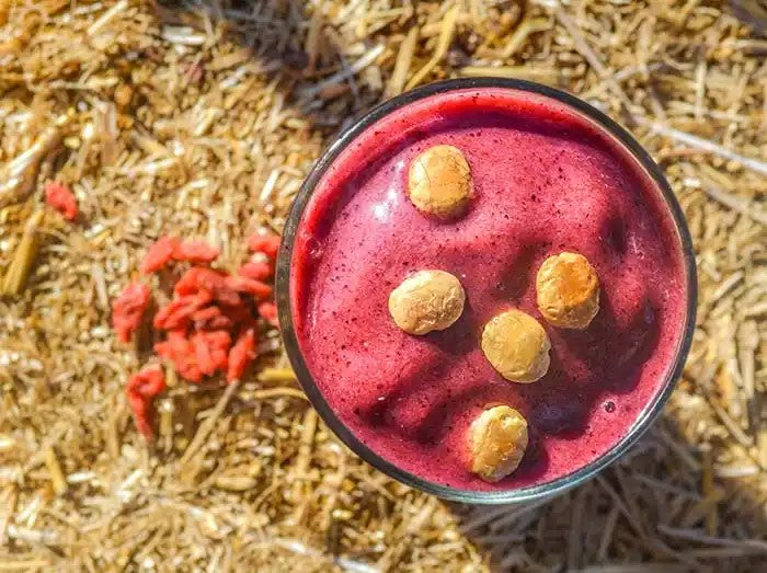 Imlakesh Recipe Muscle Berry Smoothie With Organic Goji Berries And Sacha Inchi Nuts